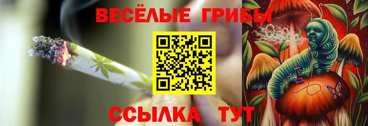 Новокубанск  Псилоцибиновые грибы ЛСД  Вход с VPN 